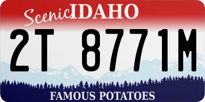 ID license plate 2T8771M