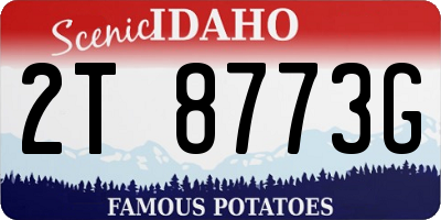ID license plate 2T8773G