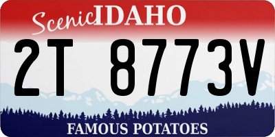 ID license plate 2T8773V