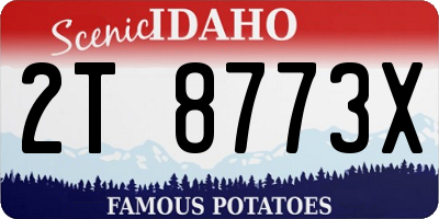 ID license plate 2T8773X
