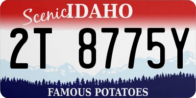 ID license plate 2T8775Y