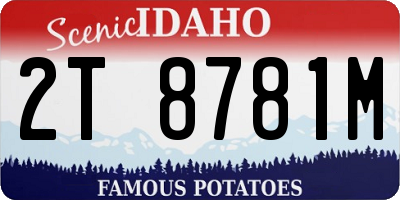 ID license plate 2T8781M