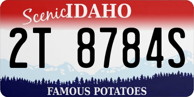 ID license plate 2T8784S