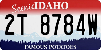 ID license plate 2T8784W