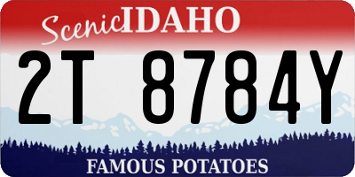 ID license plate 2T8784Y