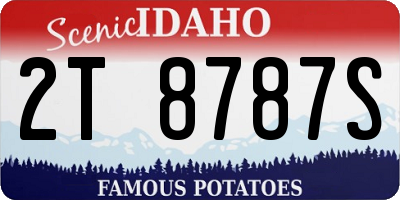 ID license plate 2T8787S
