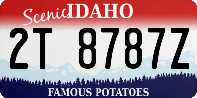 ID license plate 2T8787Z