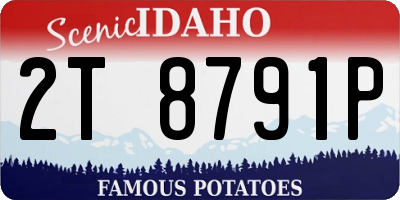 ID license plate 2T8791P