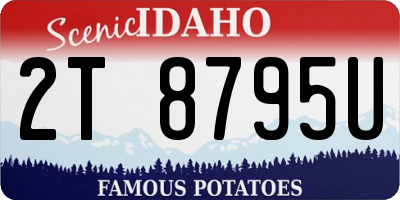 ID license plate 2T8795U