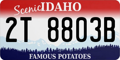 ID license plate 2T8803B