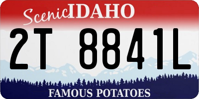 ID license plate 2T8841L