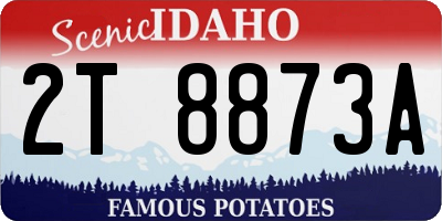 ID license plate 2T8873A