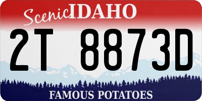 ID license plate 2T8873D
