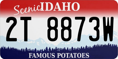 ID license plate 2T8873W