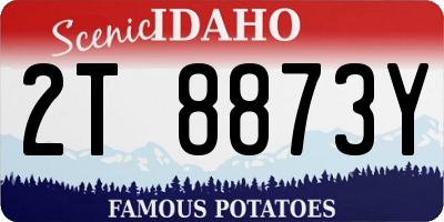 ID license plate 2T8873Y