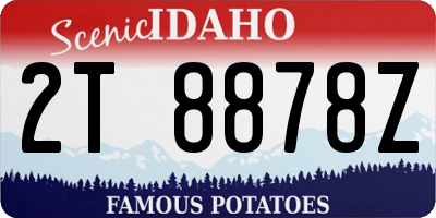 ID license plate 2T8878Z