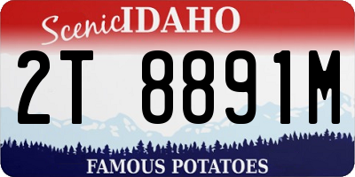 ID license plate 2T8891M