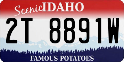 ID license plate 2T8891W