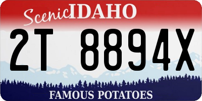 ID license plate 2T8894X