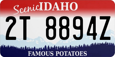 ID license plate 2T8894Z