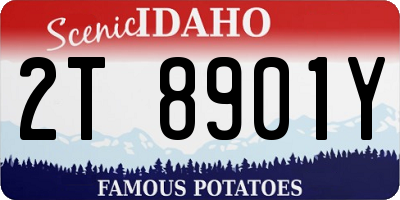 ID license plate 2T8901Y
