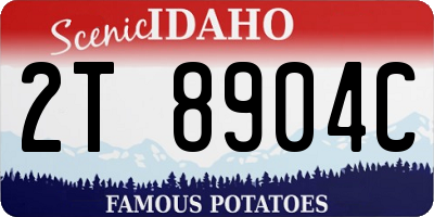 ID license plate 2T8904C