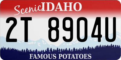 ID license plate 2T8904U