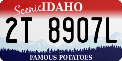 ID license plate 2T8907L