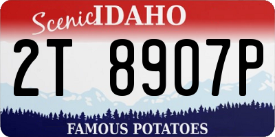ID license plate 2T8907P
