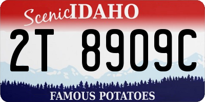 ID license plate 2T8909C