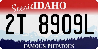 ID license plate 2T8909L
