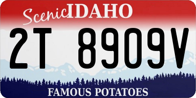 ID license plate 2T8909V