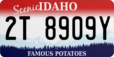 ID license plate 2T8909Y