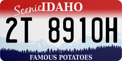 ID license plate 2T8910H