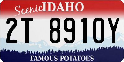 ID license plate 2T8910Y