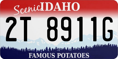 ID license plate 2T8911G