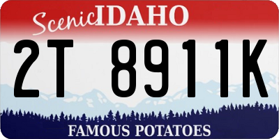 ID license plate 2T8911K