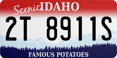 ID license plate 2T8911S