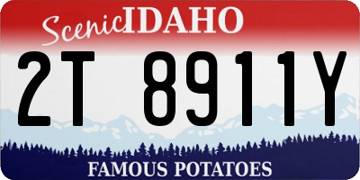 ID license plate 2T8911Y