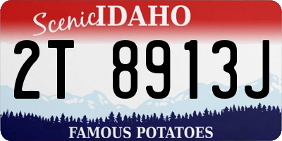 ID license plate 2T8913J