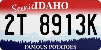 ID license plate 2T8913K
