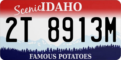 ID license plate 2T8913M