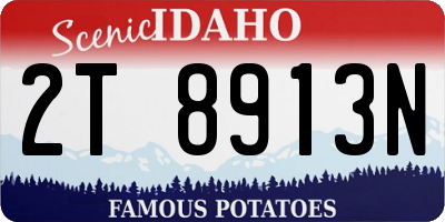 ID license plate 2T8913N
