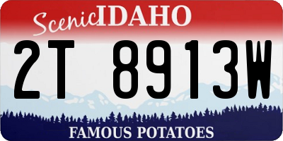 ID license plate 2T8913W