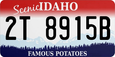 ID license plate 2T8915B