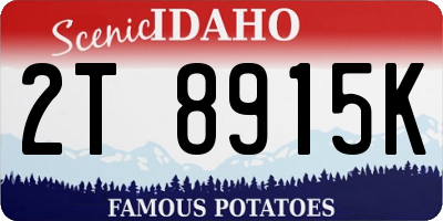 ID license plate 2T8915K