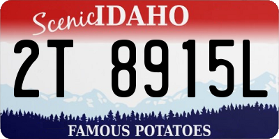ID license plate 2T8915L