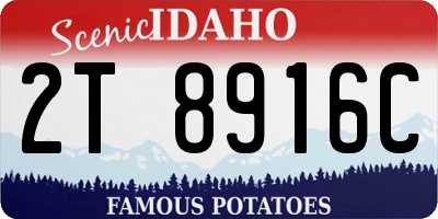 ID license plate 2T8916C