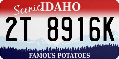 ID license plate 2T8916K
