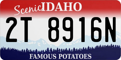 ID license plate 2T8916N